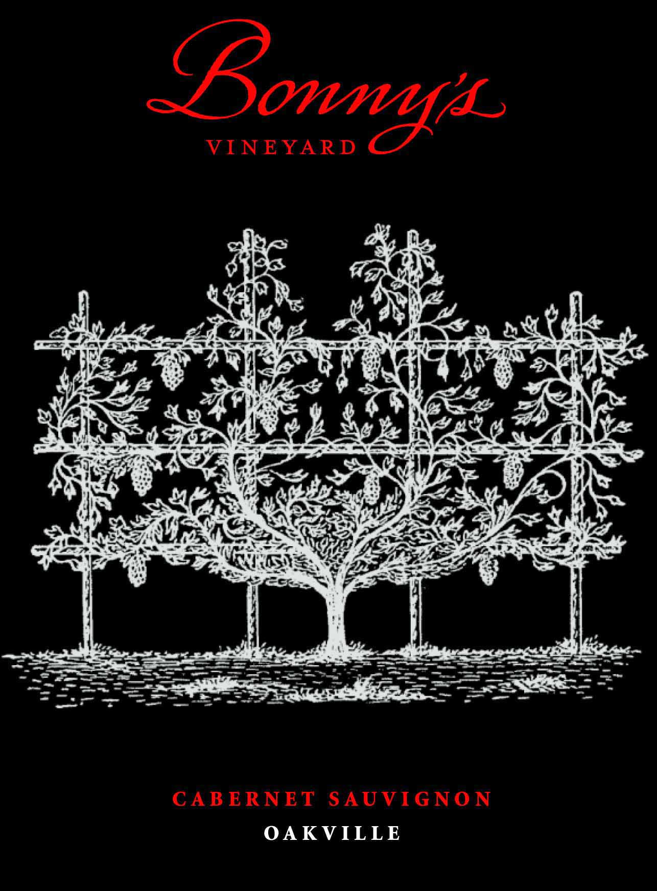 Product Image for 2019 Bonny's Vineyard Cabernet